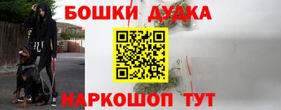 дживик Волжск