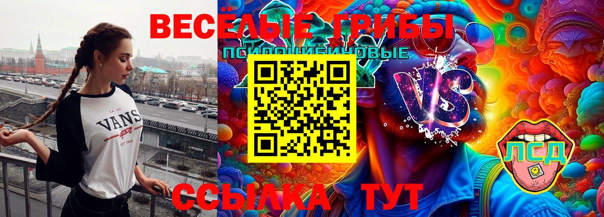 Галлюциногенные грибы Magic Shrooms Ростов Великий